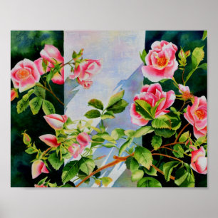 Schöne rosa Rosen, rote Rosen, Aquarellblumen Poster