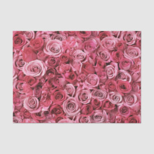 Schöne rosa Rosen Seidenpapier