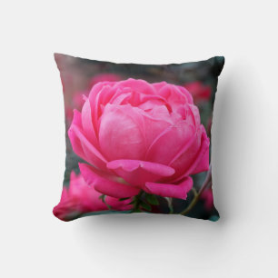 Schöne rosa Rosenblumen-Kissen Kissen