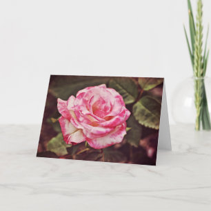 Schöne rosa Rosengartenkarte Psalm 102:26 Karte