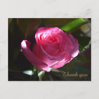 Schöne rosa Rosenkarte Postkarte