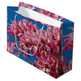 Schöne Rosa Saucer Magnolia Blüten Große Geschenktüte