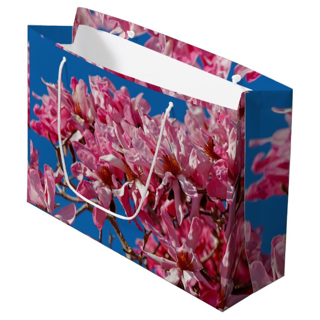 Schöne Rosa Saucer Magnolia Blüten Große Geschenktüte (Vorderseite Schrägansicht)