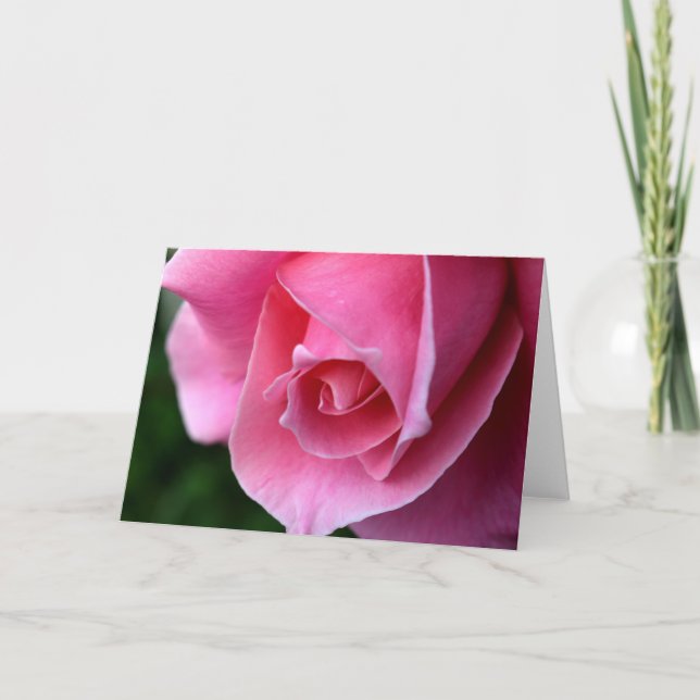 Schöne Rosa-Sitzkarte Karte (Vorderseite)