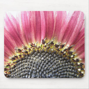 Schöne rosa Sonnenblumenmousepad Mousepad