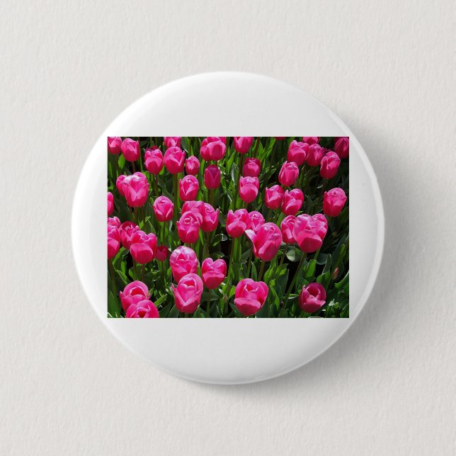 SCHÖNE ROSA TULPEN BUTTON (Vorderseite)