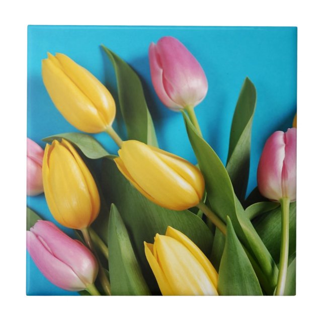 Schöne rosa und gelbe Frühlingstulpen Fliese (Vorderseite)
