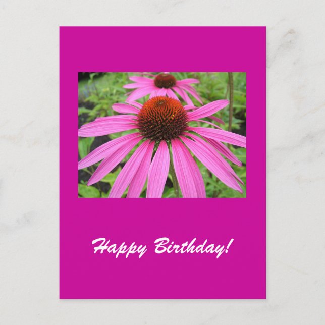 schöne rosa violette Blumen Postkarte (Vorderseite)