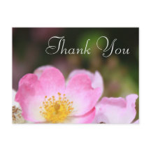 schöne rosa wilde Rose Blume Hochzeit danke