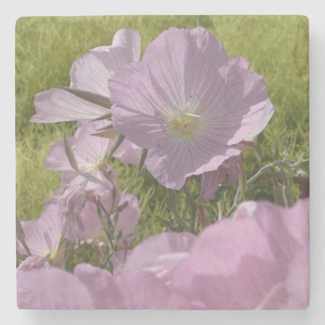 Schöne rosafarbene Blume Foto Marmorstein Unterset Steinuntersetzer (Vorderseite)