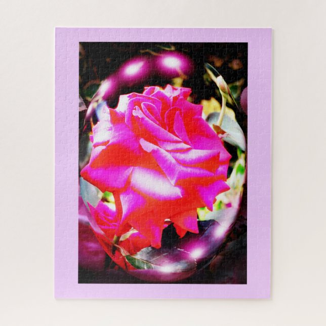 Schöne Rose (Vertikal)