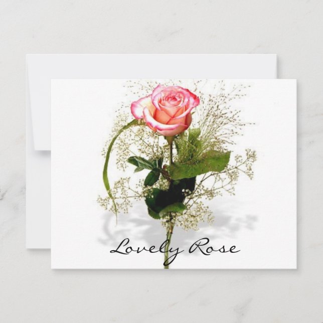 Schöne Rose (Vorderseite)