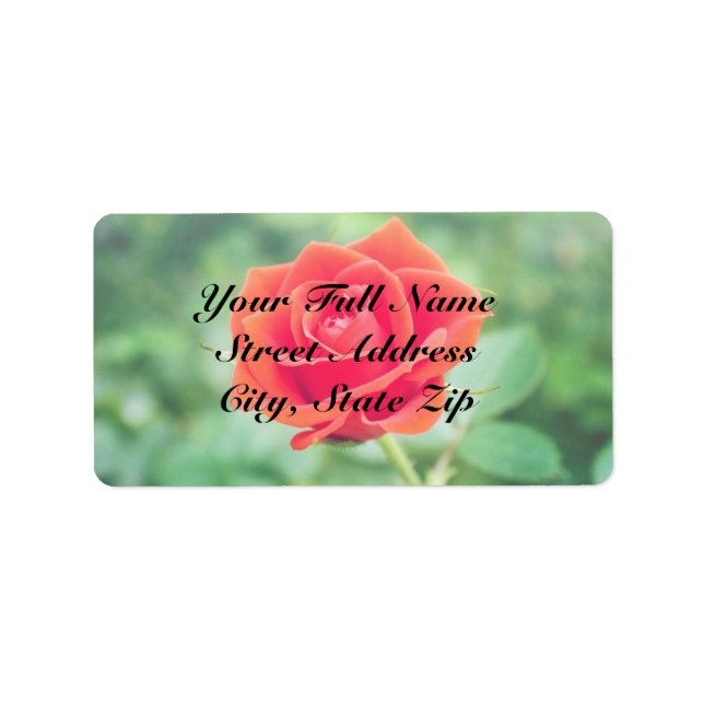 Schöne Rose Adressaufkleber (Vorne)