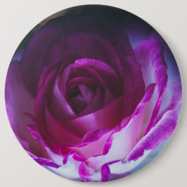 Schöne Rose Blume Button