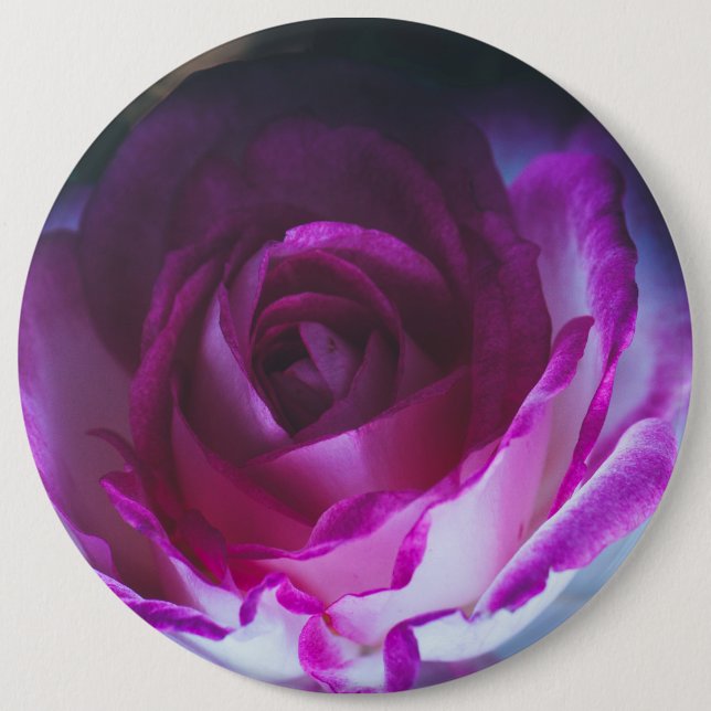 Schöne Rose Blume Button (Vorderseite)