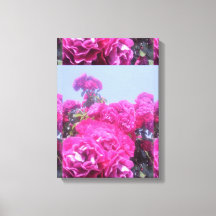 Schöne Rose Blume mit gesteppten Leinwänden