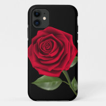 Schöne Rose