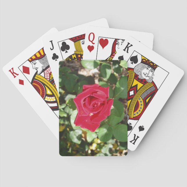 Schöne Rose Deck Spielkarten (Rückseite)