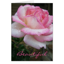 Schöne Rose Ecclesiastes 3:11 Scripture Card