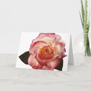 Schöne Rose Grußkarte. Karte