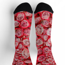 Schöne Rose in rosa und roter Blume