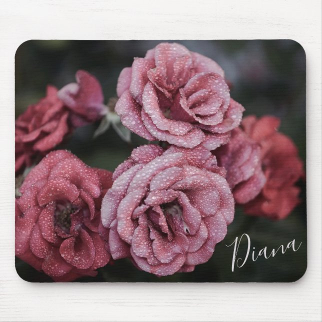 Schöne Rose mit Taubentropfen Mauspad (Vorne)
