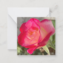 Schöne Rose Mitteilungskarte