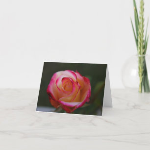 Schöne Rose Note Card Karte