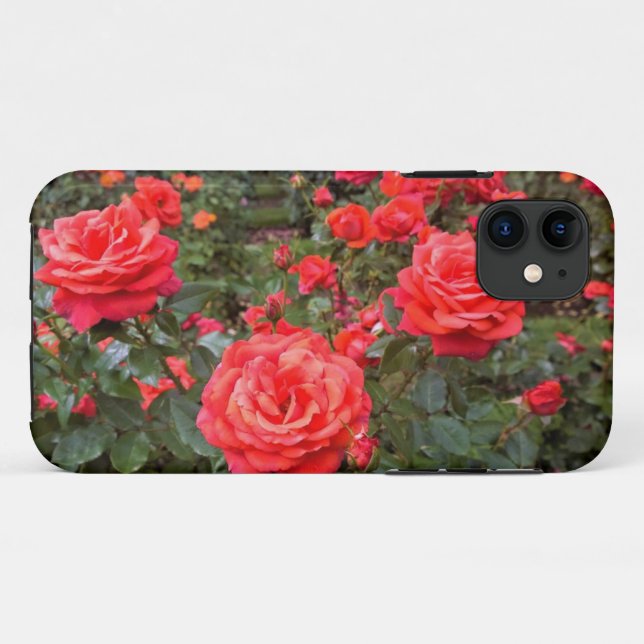 Schöne Rose, Portland, Oregon Case-Mate iPhone Hülle (Rückseite (Horizontal))