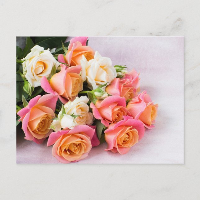 Schöne Rose Postkarte (Vorderseite)