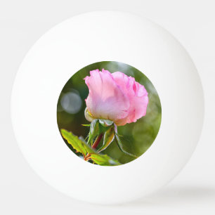 Schöne Rose Tischtennisball