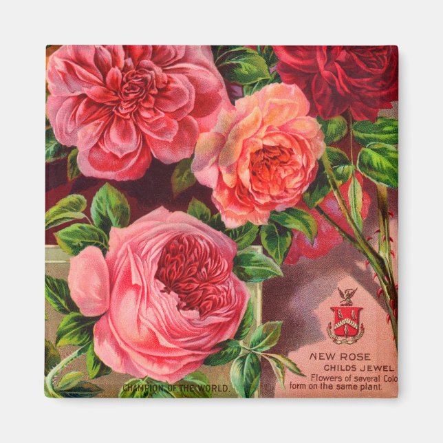 Schöne Rose Vintage Blumenwerbung Magnet (Vorne)