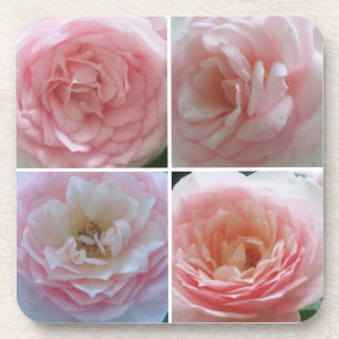 Schöne Rosen Getränkeuntersetzer