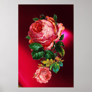 SCHÖNE ROSEN IN ROSA POSTER