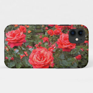Schöne Rosen, Portland, Oregon Case-Mate iPhone Hülle