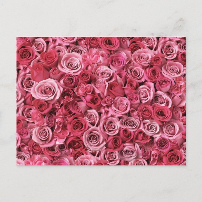 Schöne Rosen Postkarte (Vorderseite)