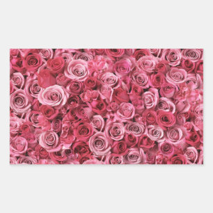 Schöne Rosen Rechteckiger Aufkleber