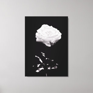 Schöne Rosen-Schwarzweiss-Nahaufnahme Leinwanddruck