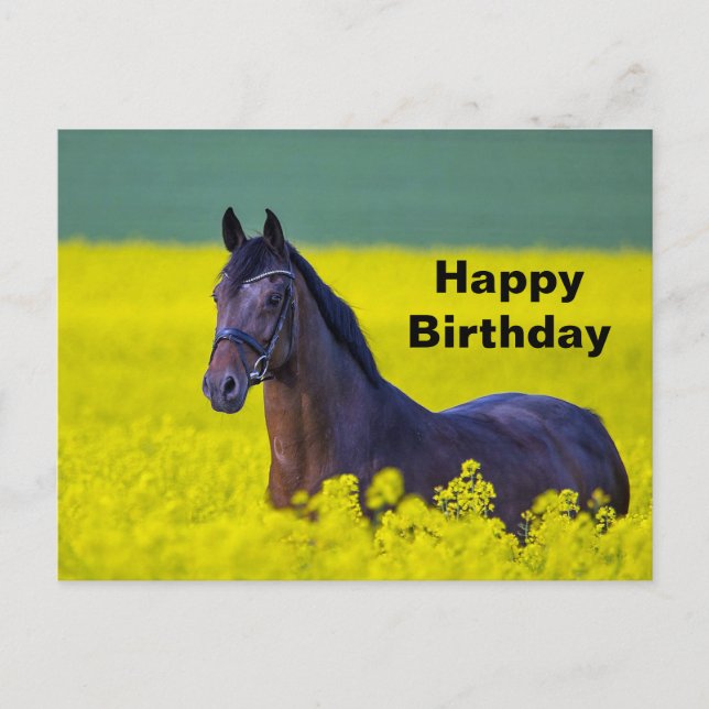 Schöne Rossgelbe Blumen Foto Geburtstag Postkarte (Vorderseite)