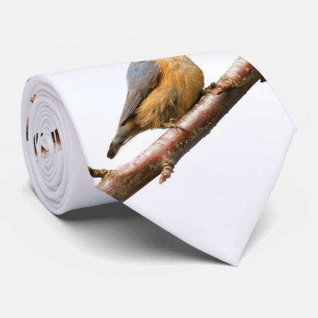 Schöne Rot-Breasted-Nuthatch an einer Zweigstelle Krawatte (Gerollt)