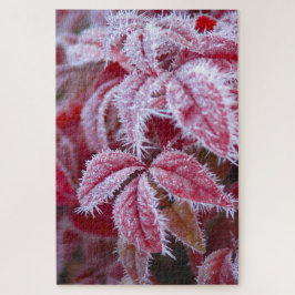 Schöne rote Blätter mit spitzen Frost.