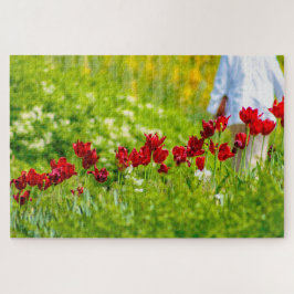 Schöne rote Blume, Niederlande