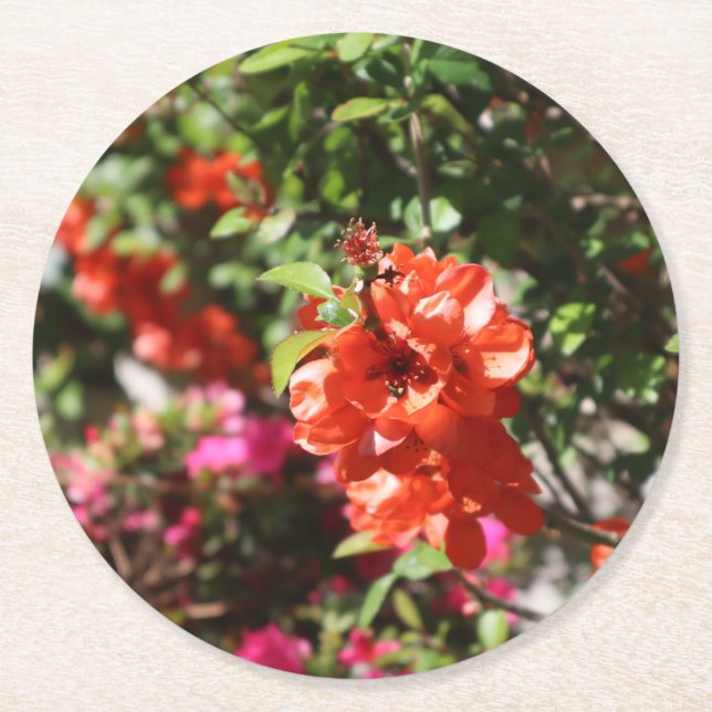 Schöne rote Blüte, fotografisch floral Runder Pappuntersetzer (Vorderseite)