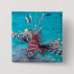 Schöne rote Löwe-Fische Button