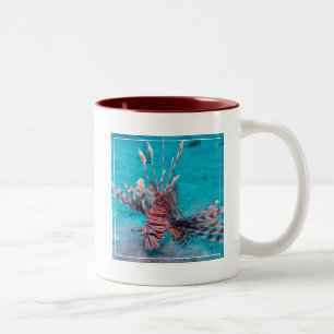 Schöne rote Löwe-Fische Zweifarbige Tasse