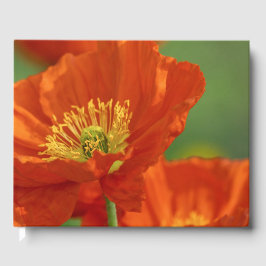 Schöne rote Poppy Gästebuch