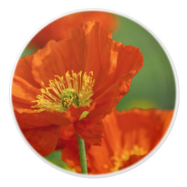 Schöne rote Poppy Keramikknauf