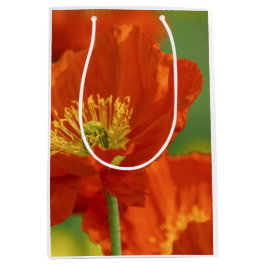 Schöne rote Poppy Mittlere Geschenktüte