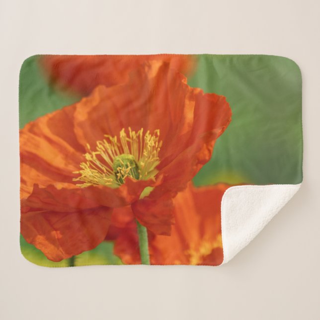 Schöne rote Poppy Sherpadecke (Vorderseite (Horizontal))