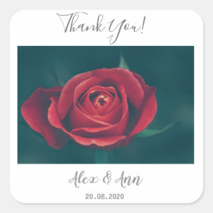 Schöne Rote Rose Blume Gastgeschenk Hochzeit Aufkl Quadratischer Aufkleber